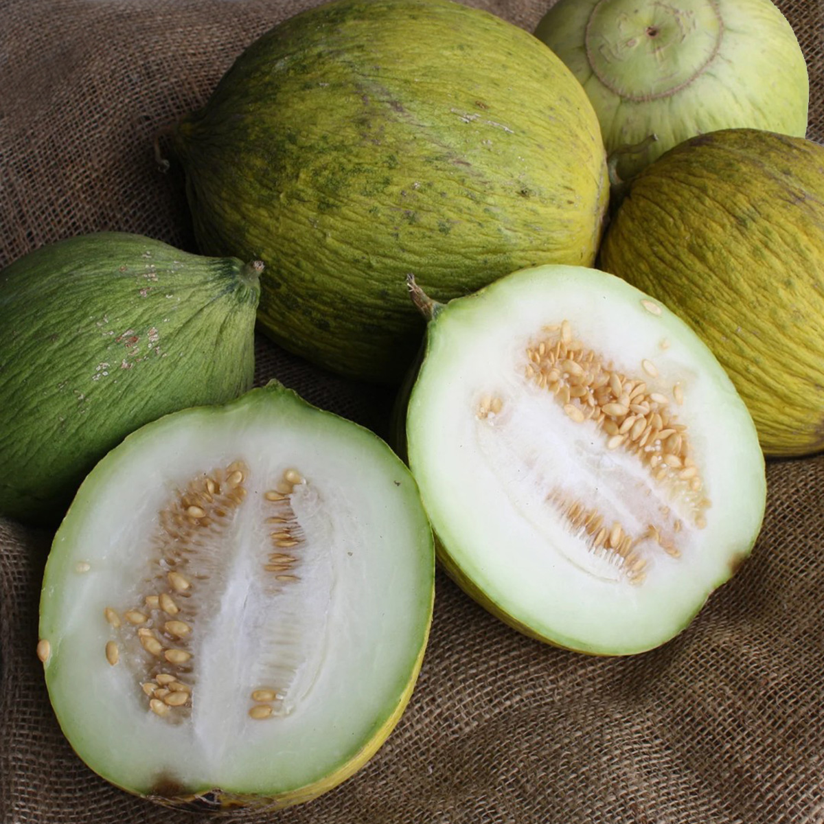 Copy%20of%20kelibaso%20melon%20(1).jpg